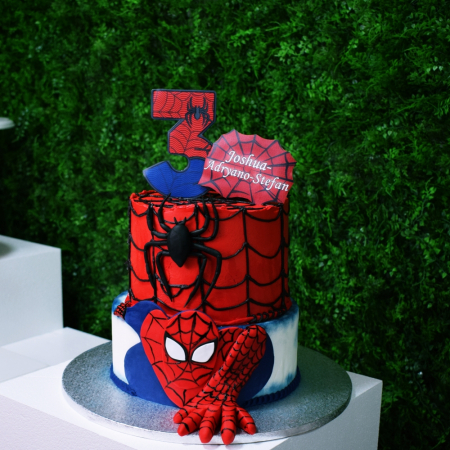 Tort Spider Man [0]