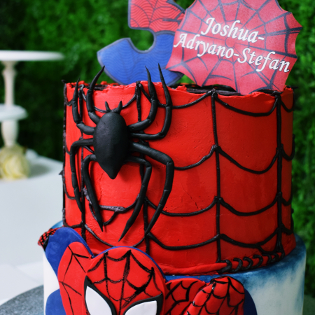 Tort Spider Man [1]