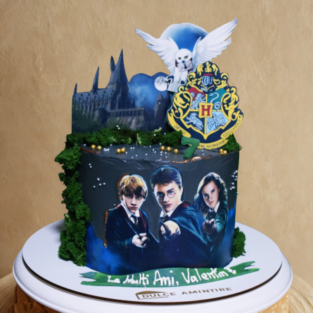 Torturi pentru Copii - Harry Potter 260 lei/kg