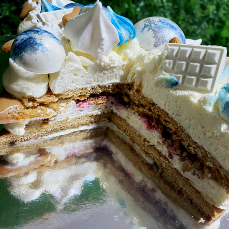 Tort Bradut Craciun [3]