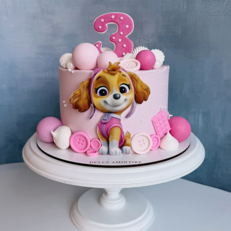 Torturi pentru Copii - Tort Catelusa Skye Paw Patrol
