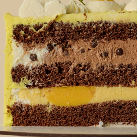 Tort Ciocolata Mango-Maracuja [1]