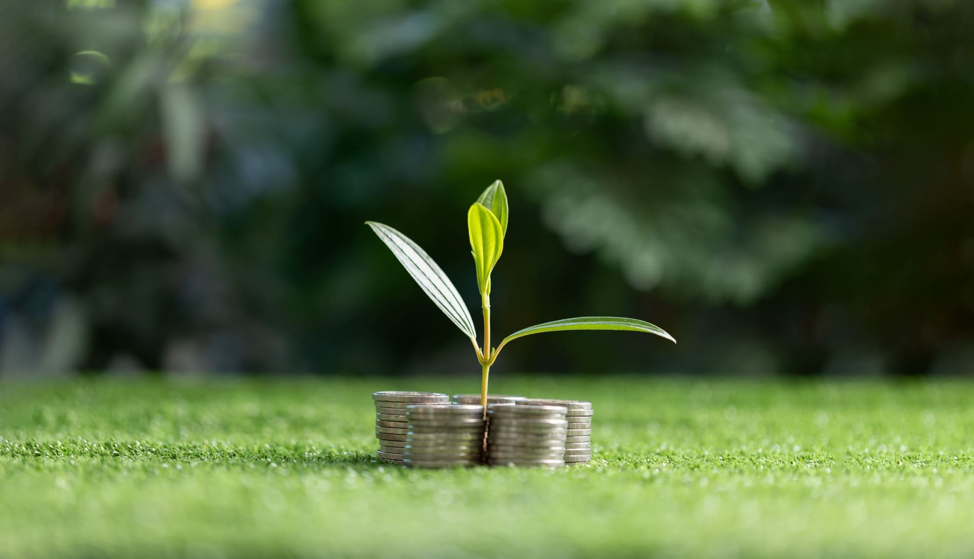 Impactul folosirii sistemelor fotovoltaice asupra certificatelor verzi și avantajele lor economice