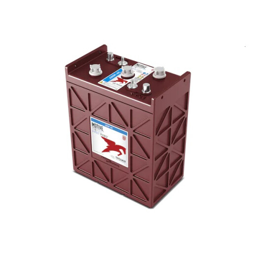 Acumulator Tractiune TROJAN J305P-AC Deep Cycle 6V 330 Ah [2]