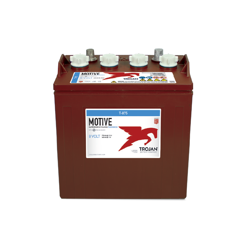 Acumulator Tractiune TROJAN T-875 Deep Cycle 8V 170 Ah [2]
