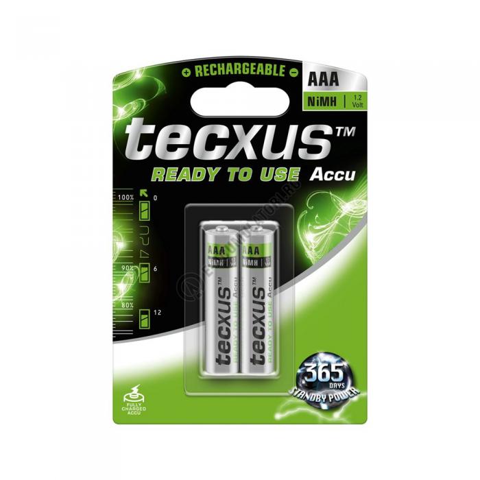 Acumulatori Tecxus AAA 800 mAh, preincarcati, gata de utilizare, blister de 2 buc-big