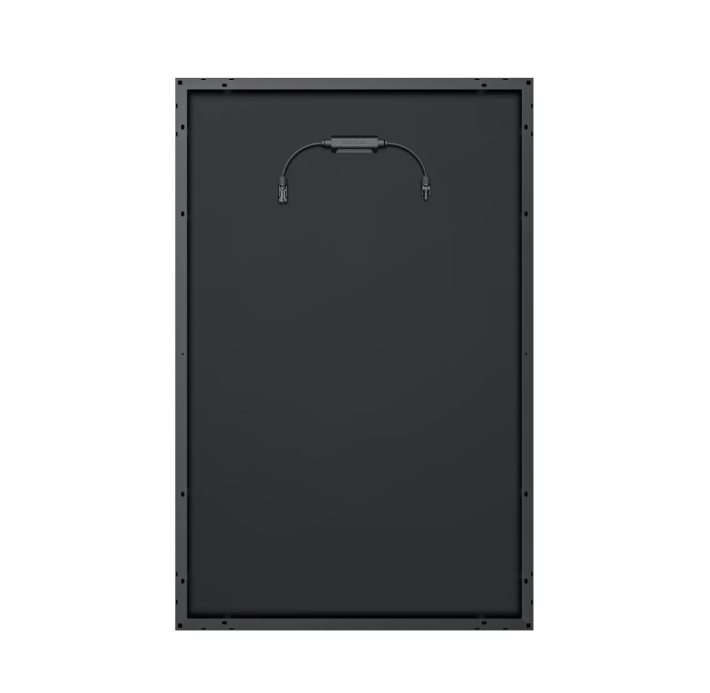 Ecoflow Panou Solar Rigid 175W [2]