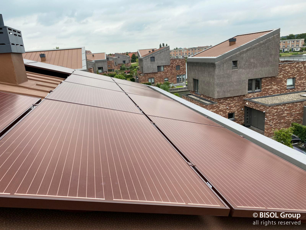 Panou fotovoltaic monocristalin 335Wp Bisol Spectrum Verde Padure [2]