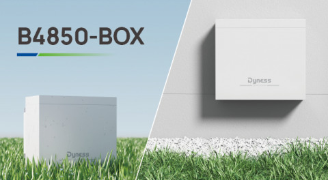 LiFePO4 - Set format din 2 buc Dyness B4850 2xModule de baterie LiFePO4 48V 50Ah/2.4KWh - similar US5000