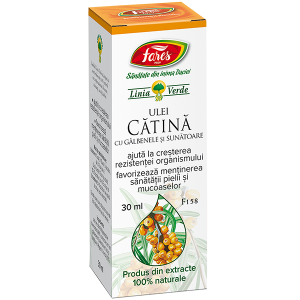 Catina cu galbenele si sunatoare, F158, ulei [1]