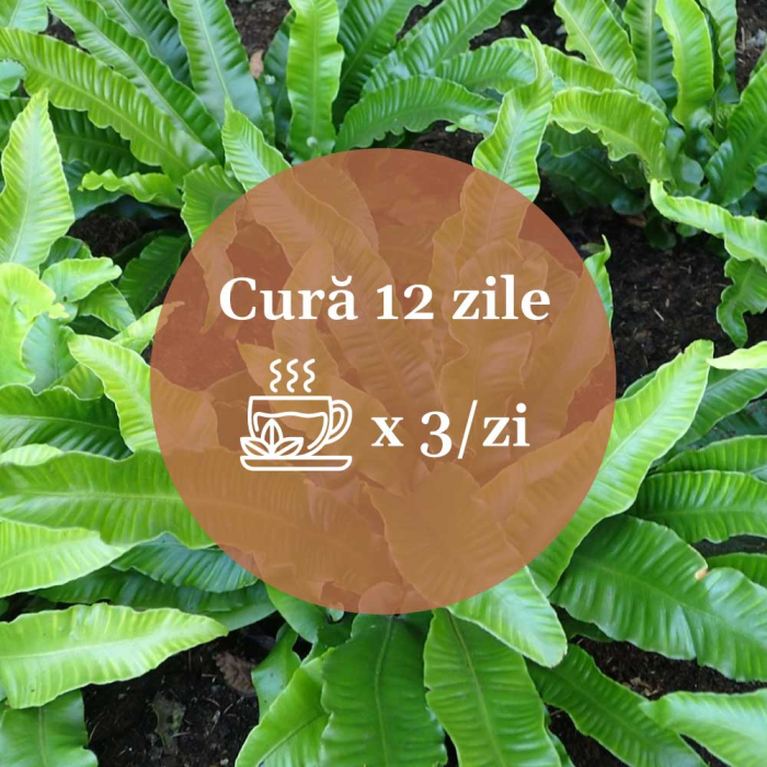 Ceai Limba Cerbului 50g [8]