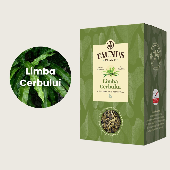 Ceai Limba Cerbului 50g [4]
