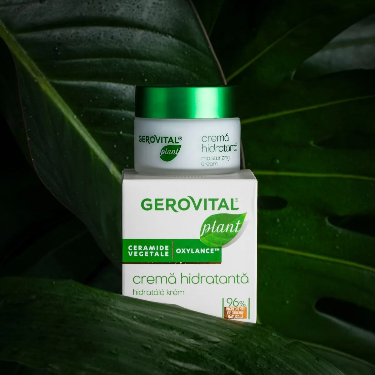 Crema Hidratanta Ceramide Vegetale 1320 X 50ML - Gerovital P [3]