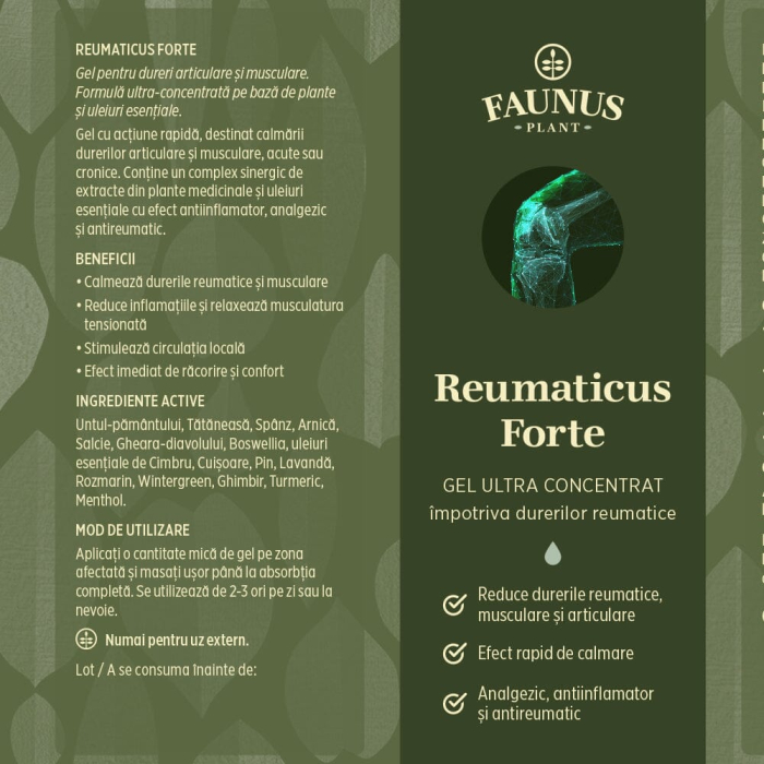 Gel Reumaticus Forte 150ml [6]