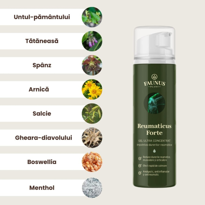 Gel Reumaticus Forte 150ml [4]