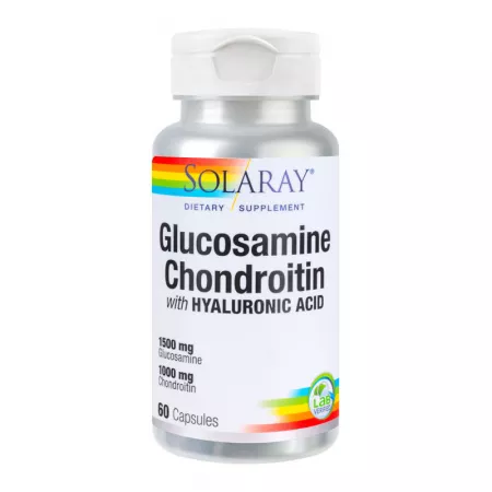 Glucosamine,Chondroitin,HyaluronAc , 60 Capsule [1]