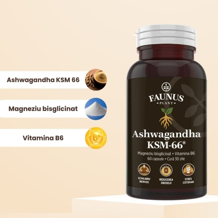 Ashwagandha KSM-66® - 60 capsule [5]