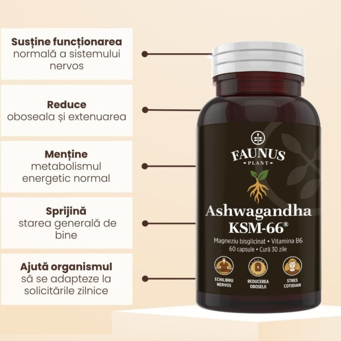 Ashwagandha KSM-66® - 60 capsule [6]