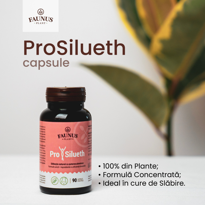 ProSilueth - 90 capsule [10]