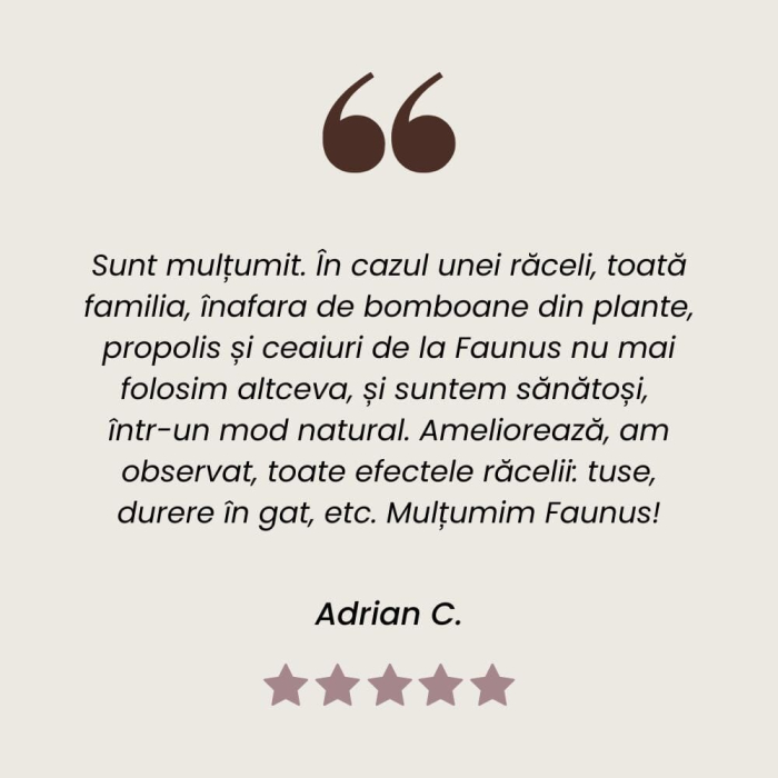 Tinctură Propolis 20ml [11]