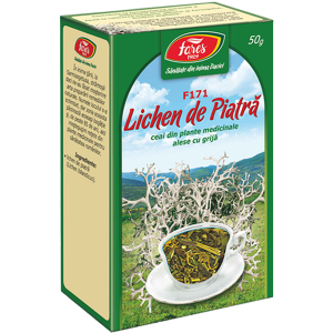 Lichen de piatra, F171, ceai la punga [1]
