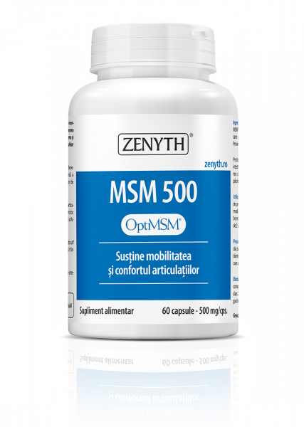 MSM 500 [1]