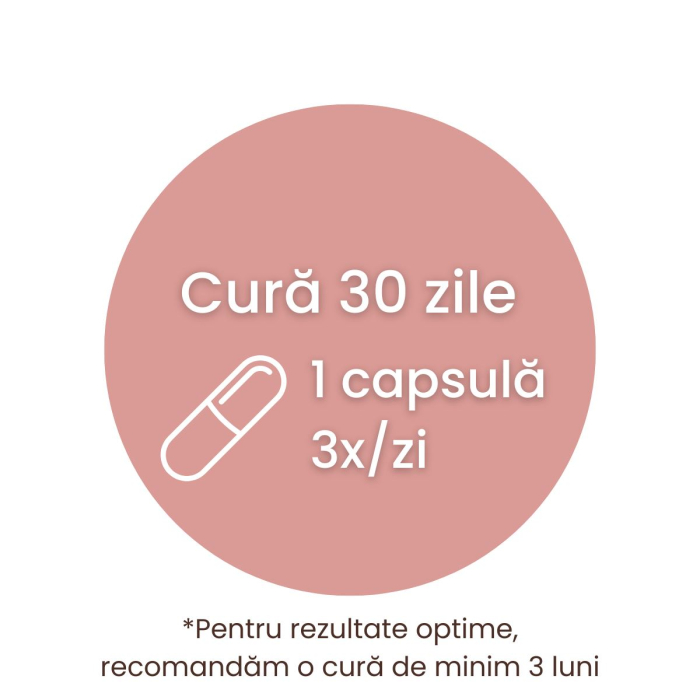 ProSilueth - 90 capsule [7]
