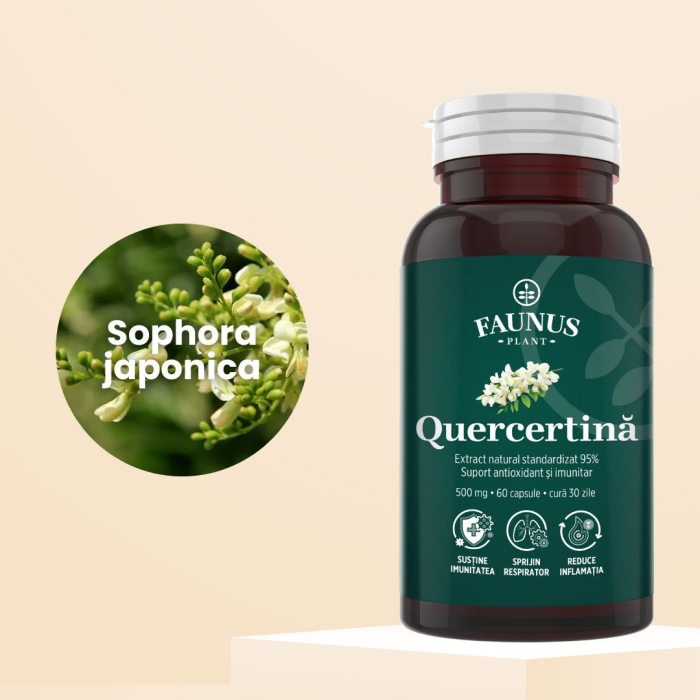 Quercetină 500mg - 60 capsule [5]