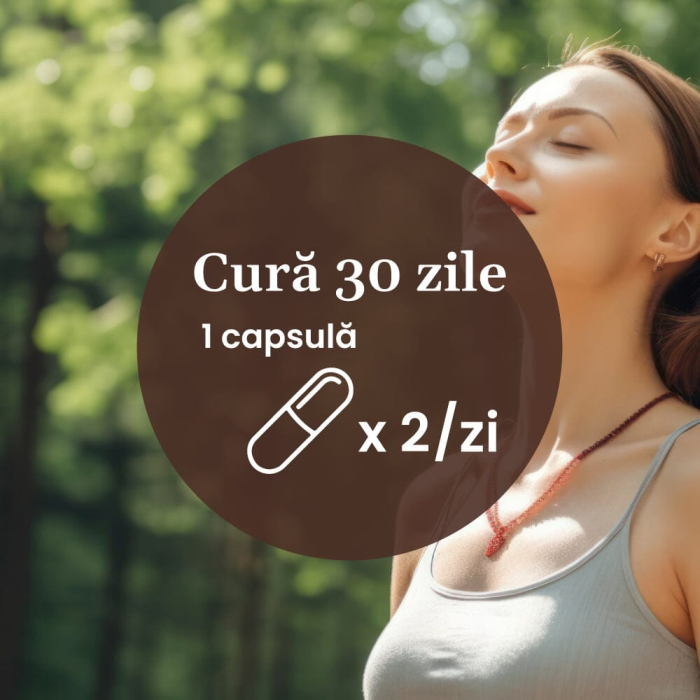 Quercetină 500mg - 60 capsule [9]