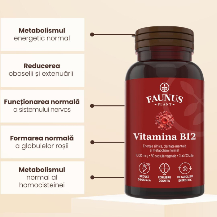 Vitamina B12 - 30 capsule [6]