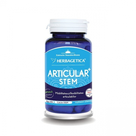PRODUSE - Articular Stem, 60 capsule