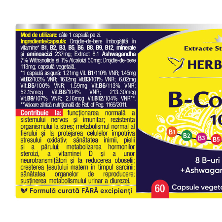 B Complex 100 X 60Cps 1Cut+1Cut-50% - Herbagetica [1]