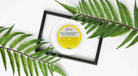 Ingrijire Fata - Balsam de buze cu unt de shea Enatura 20 ml
