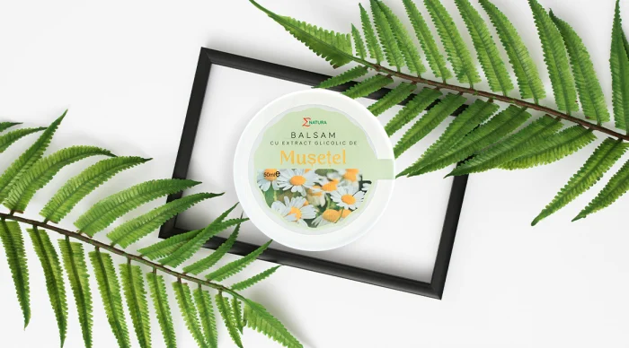 Dieta Si Wellness - Balsam de musetel x 30ml