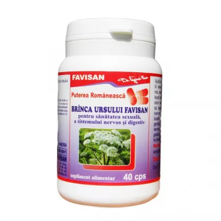 Multivitamine si minerale adulti - Branca Ursului X 40 capsule Favisan