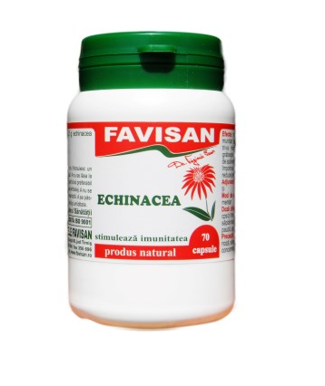 Imunitate - Echinacea, 70 capsule