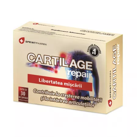 Reumatologie Si Traumatisme - Cartilage Repair 30 capsule Sprint Pharma