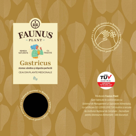 Ceai Gastricus 90g [6]