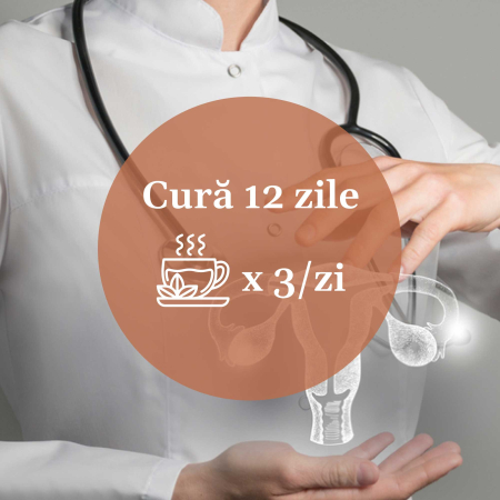 Ceai Ginecologicus 90g [7]
