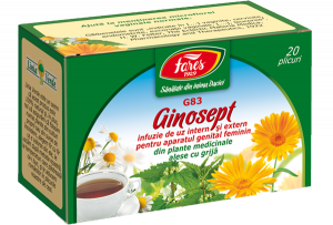 Dieta Si Wellness - Ceai Ginosept Fares 20 plicuri