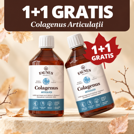 Suplimente alimentare - Colagenus Articulații Forte 500ml