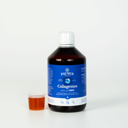 Colagenus Articulații Forte 500ml [11]