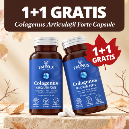Articulatii oase si muschi - Colagenus Articulatii Forte 90 capsule