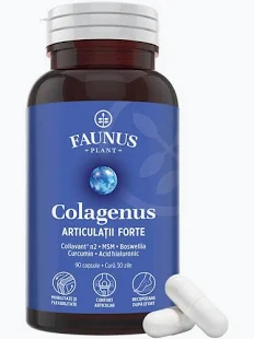 Vitamine si suplimente - Colagenus Articulatii Forte 90 capsule