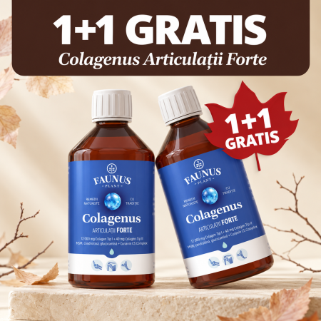 Articulatii oase si muschi - Colagenus Articulatii X 500ML - Faunus