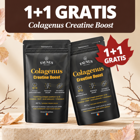 Aromaterapie si uleiuri esentiale - Colagenus Creatine Boost Pudra X 457G - Faunus