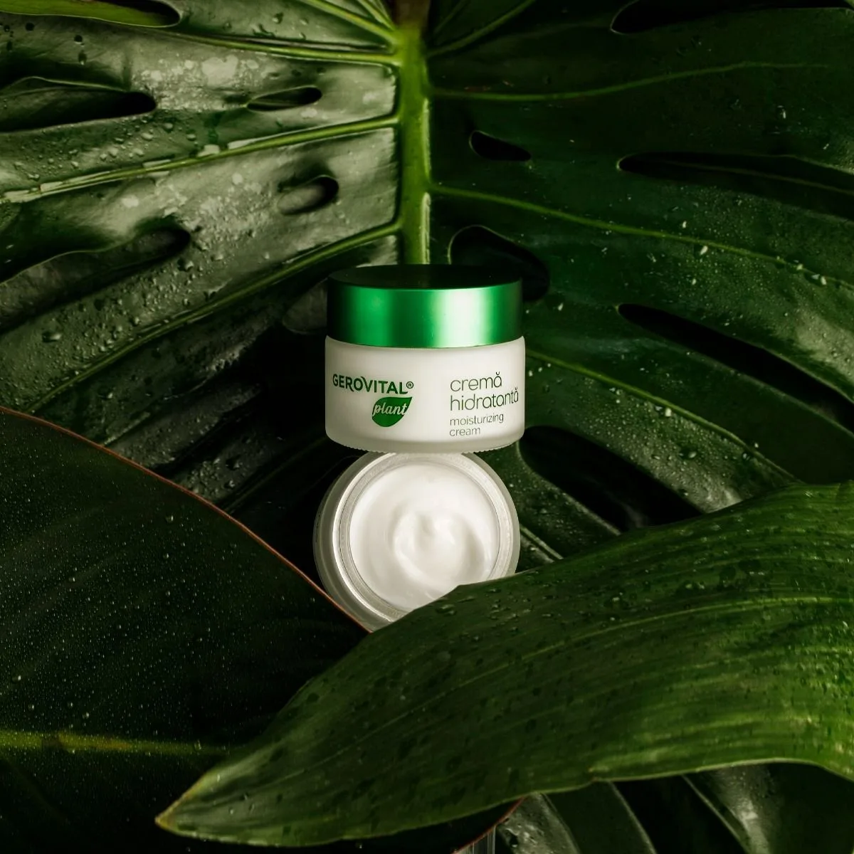 Crema Hidratanta Ceramide Vegetale 1320 X 50ML - Gerovital P [3]