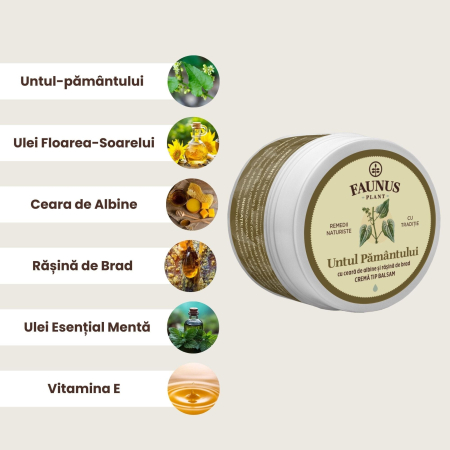 Cremă Tip Balsam Untul Pământului 50ml [1]