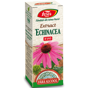Circulatie periferica deficitara - Echinacea, F193, extract hidrogliceric