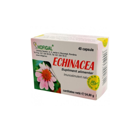 Imunitate adulti - Echinacea Hofigal 40 capsule